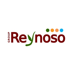 reynosos group